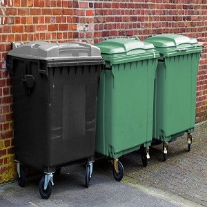 cheap bin hire